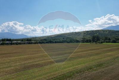 Teren intravilan de vanzare 1180 mp - Zarnesti - 10
