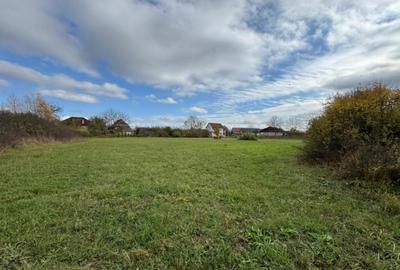 Teren intravilan de vanzare 35 ari, Sat Mogo?e?ti, co - 2