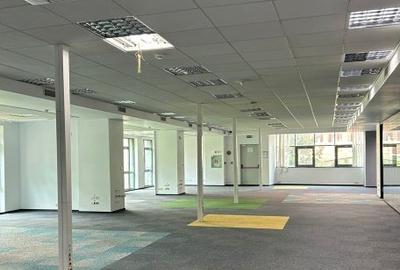 Birou, de 259 mp, în Romană - 10