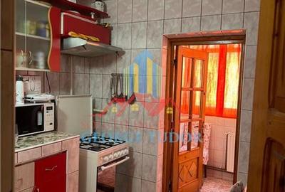 Vanzare apartament 3 camere Buza Dorobanti 2 - 6