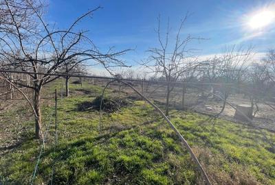 Casa impunatoare D+P+1 cu 709 mp teren si toate utilitatile in Balta Verde - 2