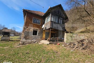 Spațiu comercial, în Almașu Mare - 11