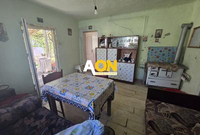 Casă individuală cu 3 camere cu Canalizare în Gura Arieșului - 7