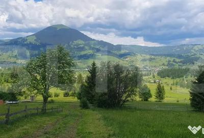 Casă cu 2 camere cu Teren 30000 Mp în Central - 4
