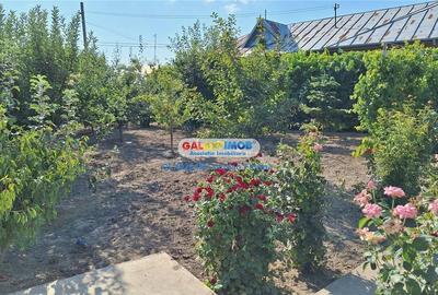 Inchiriere casa, curte proprie, garaj I Balaceanca - 3