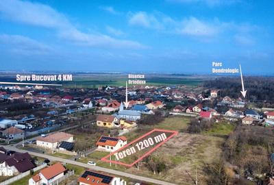 Spațiu comercial, în Bazoș - 9