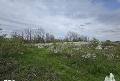 Spațiu comercial, în Bâcu - 2
