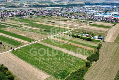 Teren Intravilan - Gilau - Autorizatie Construire Hale - 8