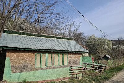 Teren de 4000 mp, în Grabicina de Jos - 1