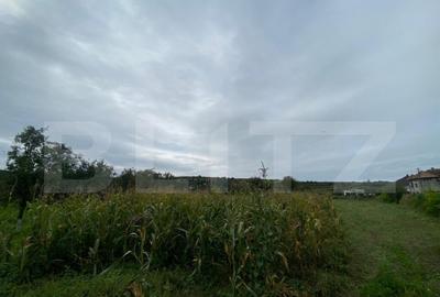 Teren intravilan de vanzare, 2.691 mp Mari?elu, jude? - 4