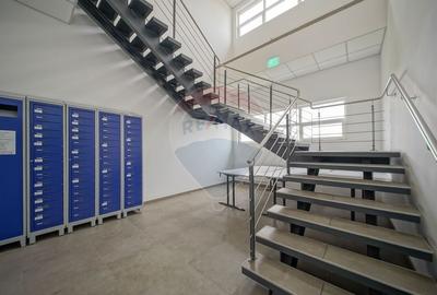 Hală industrială 5.000–12.000 mp de închiriat, Ghimbav - 14