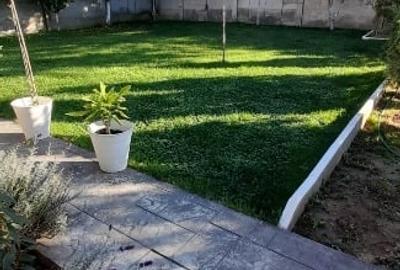 Albesti. Dolj. Casa de vanzare - 2