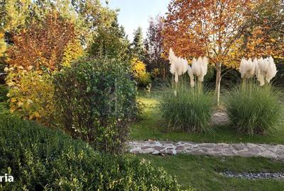 Casă cu 4 camere cu Canalizare în Tâncăbești - 14