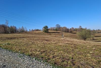 Spațiu comercial, în Damiș - 6