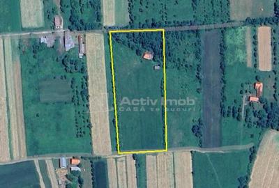 Borlovenii Noi, Teren Drept, 16000mp, la Limita Localitatii - 17