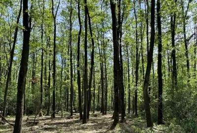 Teren de 380000 mp, în Crevedia - 2