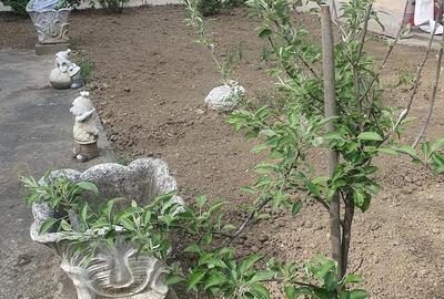 Casă cu Teren 960 Mp în Girocului - 6