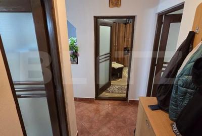 Apartament cu 2 camere decomandat în Vest - 11