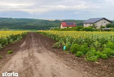 Teren de 549 mp, în Valea Lupului - 2