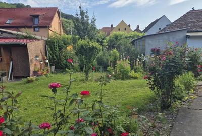 Casă cu 2 camere cu Teren 609 Mp în Central - 4