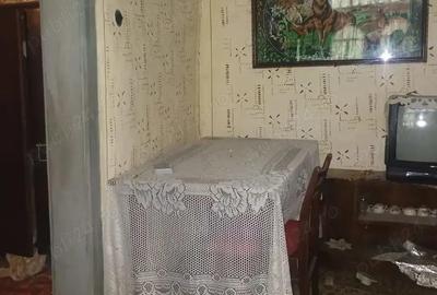 Casa batraneasca Bradeanu - 4