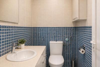 Casă individuală cu 5 camere cu Canalizare în Hidișelu de Sus - 10