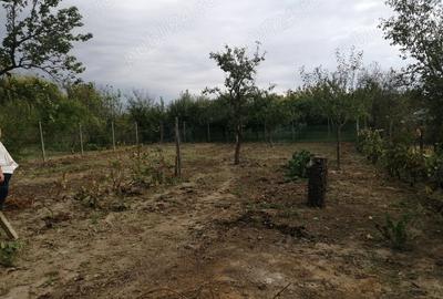 Casă cu 2 camere în Diosig - 4