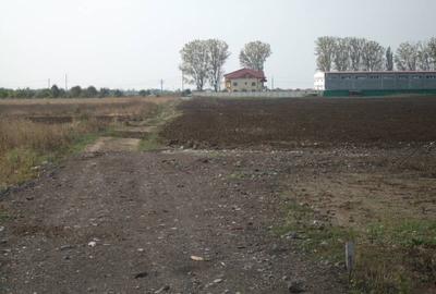 Teren Construcții intravilan de 12500 mp, în Exterior Vest