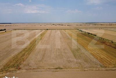 Teren de 7500 mp, în Sălcioara - 2