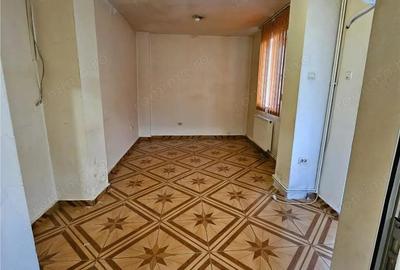 Doua case vecine, cu vad, in Bucure #537;ti, Tineretului, Parcul Carol - 10