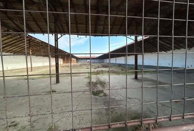 Vand teren intravilan,zona industriala,st.16,8 ha. + 8 ha.agricol,in Sanicolau Mare, la DN6,la sosea - 15