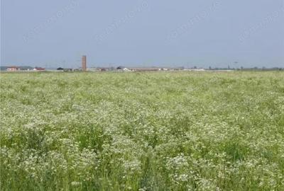 Teren de 70000 mp, în Central - 8