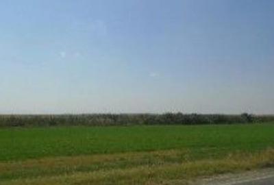 Teren cota parte 1/6, Branistea, ID: R2757177 - 7