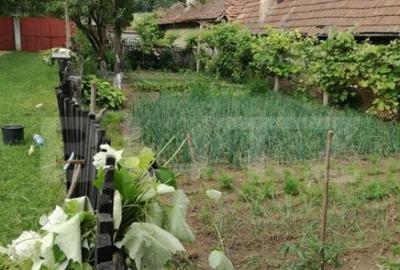 Casa off-grid 5 camere Sangatin - 2