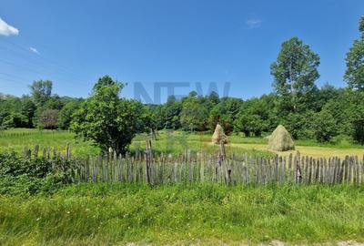 Teren Construcții intravilan de 2300 mp, în Arefu - 3