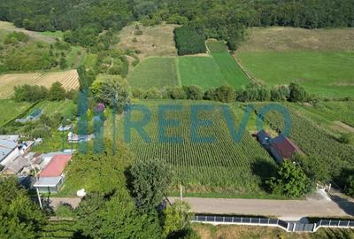 Teren intravilan de vanzare, Sat Bogdan?ti, Com. Traian - 6