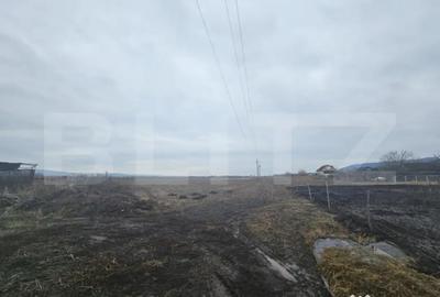 Teren de 9000 mp, în Central - 2