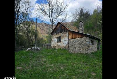 Teren de 3000 mp, în Certeju de Sus - 4