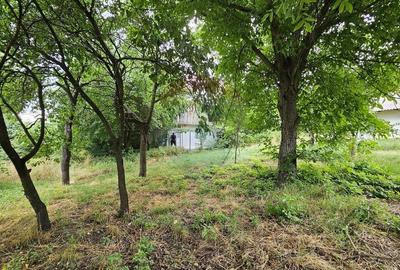 Casa  de vânzare cu teren 9200 mp, Pădureni-Șendriceni, Botoșani - 25