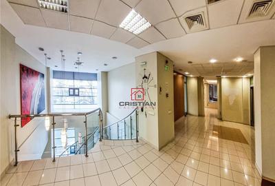 Spatiu comercial Pantelimon - Piata Delfinului, Bucuresti - 5