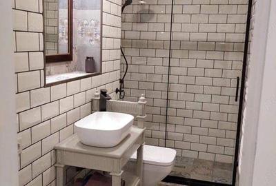 Casă cu Teren 824 Mp în Elisabetin - 4