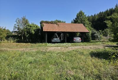 Casa de vacanta in inima padurii, 150 mp/utili, teren 1960 mp, Vulcan - 17
