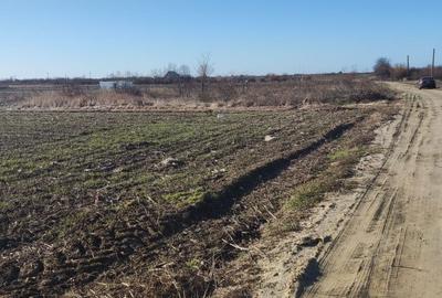 Teren Construcții intravilan de 830 mp, în Mogoșești - 5