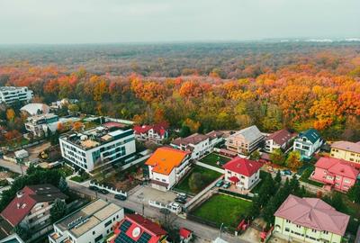 Vila si teren aferent de vanzare in Voluntari Pipera liziera pădurii- 1775 mp - 4