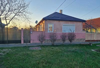 Casă cu 3 camere cu Teren 1540 Mp în Pâncota - 10