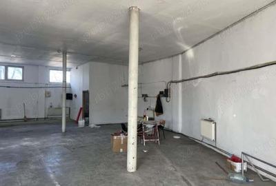 Spațiu comercial, de 500 mp, în Buziașului