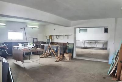 Spațiu comercial, de 144 mp, în Ulmi - 6