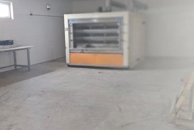 Casă individuală cu 4 camere cu Teren 6700 Mp în Gelu - 10