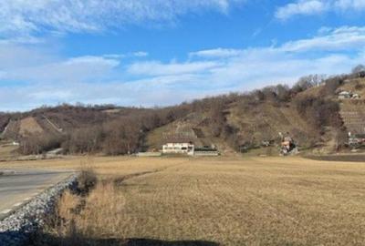 Teren extravilan 400 mp, Cristian - 2