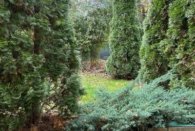 Spațiu comercial, de 95 mp, în Central